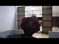 Download Lagu terbaik demi vivo