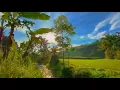 Download Lagu Story'Wa Hari Jum'at Berkah || Qoutes Sholawat Ya Batrotin