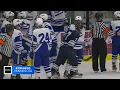 Adam Johnson Hibbing native and former Duluth Bulldog hockey player dead at 29