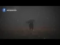 shallou - count on (Lyrics) feat. colin