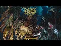 Ichor - The Wreckage