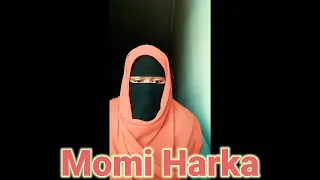 cin gindin hajia da direba