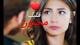 قلبك مجنون رصين أسمر 