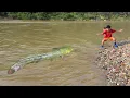 Download Lagu FULL VIDEO 15 days, The Bac boy's fishing skills, catching giant carp and catfish for sale.