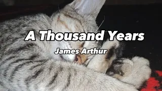 Download A THOUSAND YEARS - JAMES ARTHUR (CHRISTINA PERRI COVER) MP3