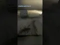 Raw shows tree falling in an Omaha neighborhood during blizzard