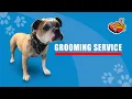 Grooming Services