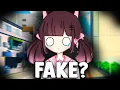 Meowbahh s Face Reveal Is FAKE