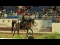 Download Lagu Continuation - Native Costume JTR Championship Scottsdale Arabian Horse Show