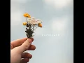 Cherished