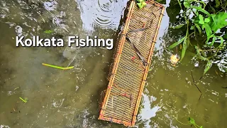 Kolkata Fishing Official #fisherman