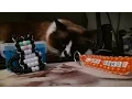 TurboBeads Kitty Cat Tutorial