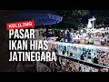 Download Lagu KELILING BEBERAPA LAPAK DI PASAR IKAN HIAS JATINEGARA