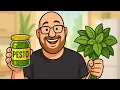 Download Lagu Un Pacco fantastico da Genova, compreso ovviamente il Pesto 😍 grazie di cuore a Deborah e Francesco 