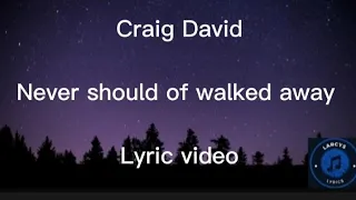 Download Craig David - Never should of walked away lyric video MP3