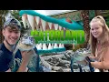 Gatorland Orlando 2026 Inside Florida s Famous Alligator Park
