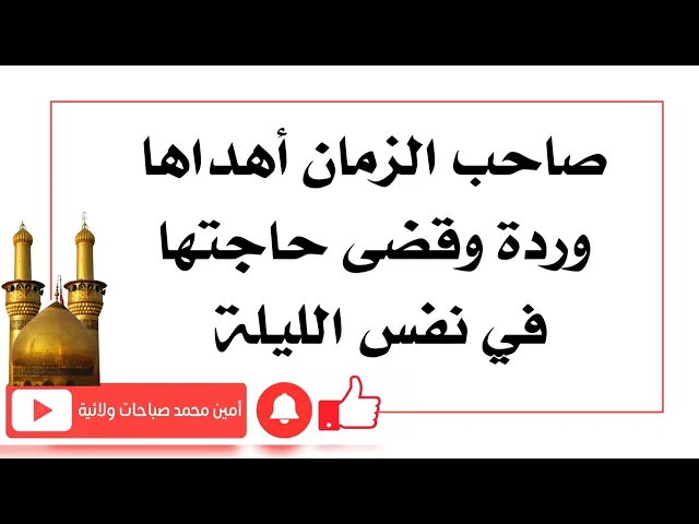 ⁣صاحب الزمان أهداها وردة وقضى حاجتها في نفس الليلة