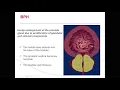 Benign prostatic hyperplasia lection