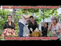 Lagu KAGET‼️ TOUR KEBUN KAMI SETELAH DI TINGGAL PERGI LAMA, MAMA BULE LANGSUNG GERCEP \u0026 SEMANGAT PANEN