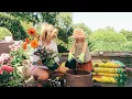 Tidying The Garden Old Diaries The Biggest Compliment Vlogust Day 13