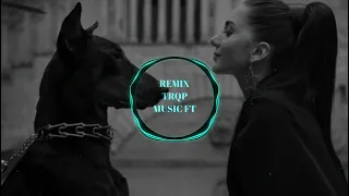                                يا غالي   وين الخطف حالي الشامي   نور قمر ألبوم الشامي الجديد اغاني دندنها