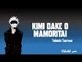 Download Lagu Takeshi Tsuruno ★ Kimi Dake o Mamoritai (Ultraman Saga ver) ~ [Nightcore]