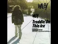 Wiley - Pies