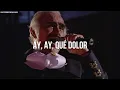 ESTOS CELOS - Vicente Fernández (LETRA)