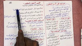 أقوى مراجعة في أدب المهجر جميع الشعب أفكار متعوب عليها باك 2025 لن أترككم أبطالي  أقوى مراجعة في أدب المهجر جميع الشعب أفكار متعوب عليها باك 2025 لن أترككم أبطالي