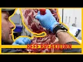 Beef Breakdown - Chuck