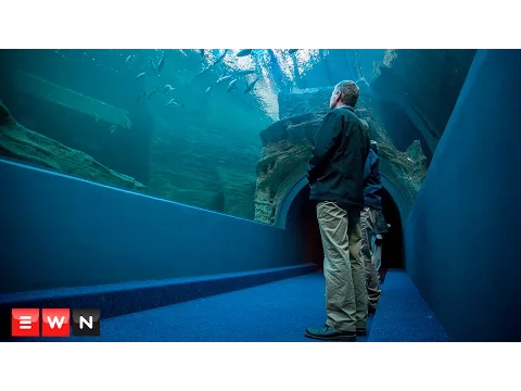 Download MP3 Two Oceans Aquarium unveils new Ocean Exhibit