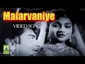 Lagu Malarvaniye Video Song | Naga Nandhini Movie Songs | K. Balaji, Anjali Devi, Devika