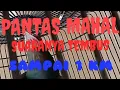 Download Lagu BURUNG TUWU GACOR TEMBUS SAMPAI 1.KM (ASIAN KOEL)