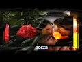 Download Lagu ♫♥♫ Tu Solo Tu - Gerard Joling ♫♥♫