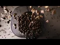 Download Lagu COFFEE COMMERCIAL ADVERTISEMENT - 7 miles roasters coffee beans ad