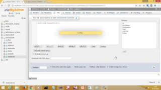 SQL LCASE LOWER Function