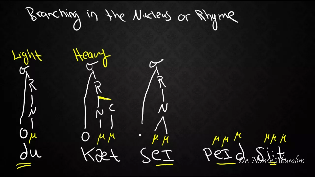 PHONETICS-13: Syllable Weight and Syllable Types