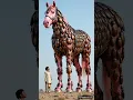 Download Lagu Pink horse covered in millions of brown beetles saved by farmer #animals #horse #treatment #humanity