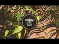 Maz (BR), Antdot, Sued Nunes - Povoada (Remix)
