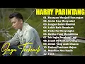 Lagu HARRY PARINTANG LAGU GALAU BIKIN BAPER  Andai Kau Menyadari💔
