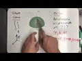 Understanding dV in spherical coordinates