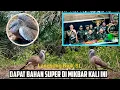 Download Lagu Dapat Bahan Tekukur Istimewa di Mikbar Kali Ini,  Pembuluan Yang Jarang Meleset...