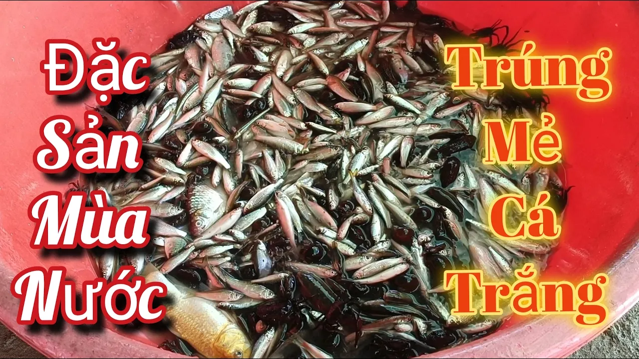 Đặc sản mùa nước nổi 22