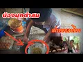 Download Lagu น้องจอม ตำมะละกอจะน่าทานขนาดไหน #เผ่าตองเหลืองในลาว #คนป่า