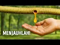 Download Lagu Tanda Bahaya Alam yang Tidak Boleh Anda Abaikan