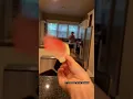 Mark gives Amy a piece of Watermelon