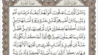 3 القرآن الكريم الجزء الثالث مكتوب الشيخ سعد الغامدي 