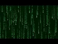 Matrix Effect in Processing
