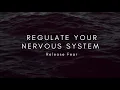 Regulate your Nervous System Release Fear
