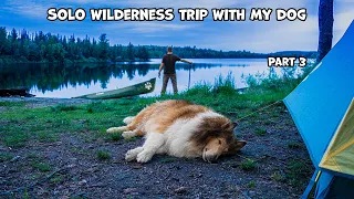 Solo Wilderness Canoe Trip With My Dog - Part 3